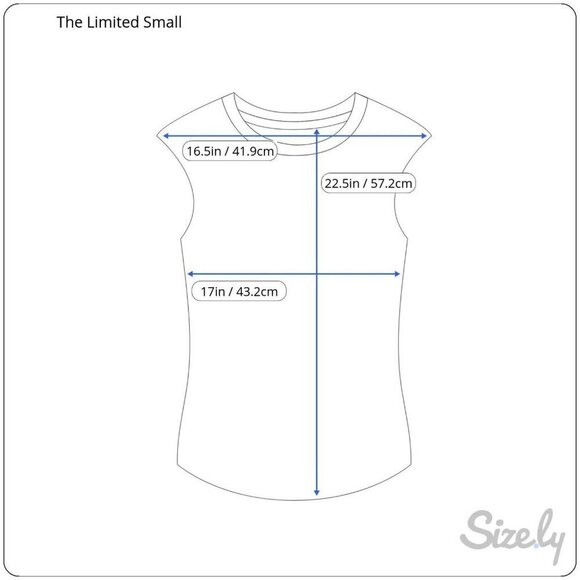 The Limited Womens Small Rust Red Satin Flutter Sleeveless Pleated Top Blouse S - Picture 3 of 7